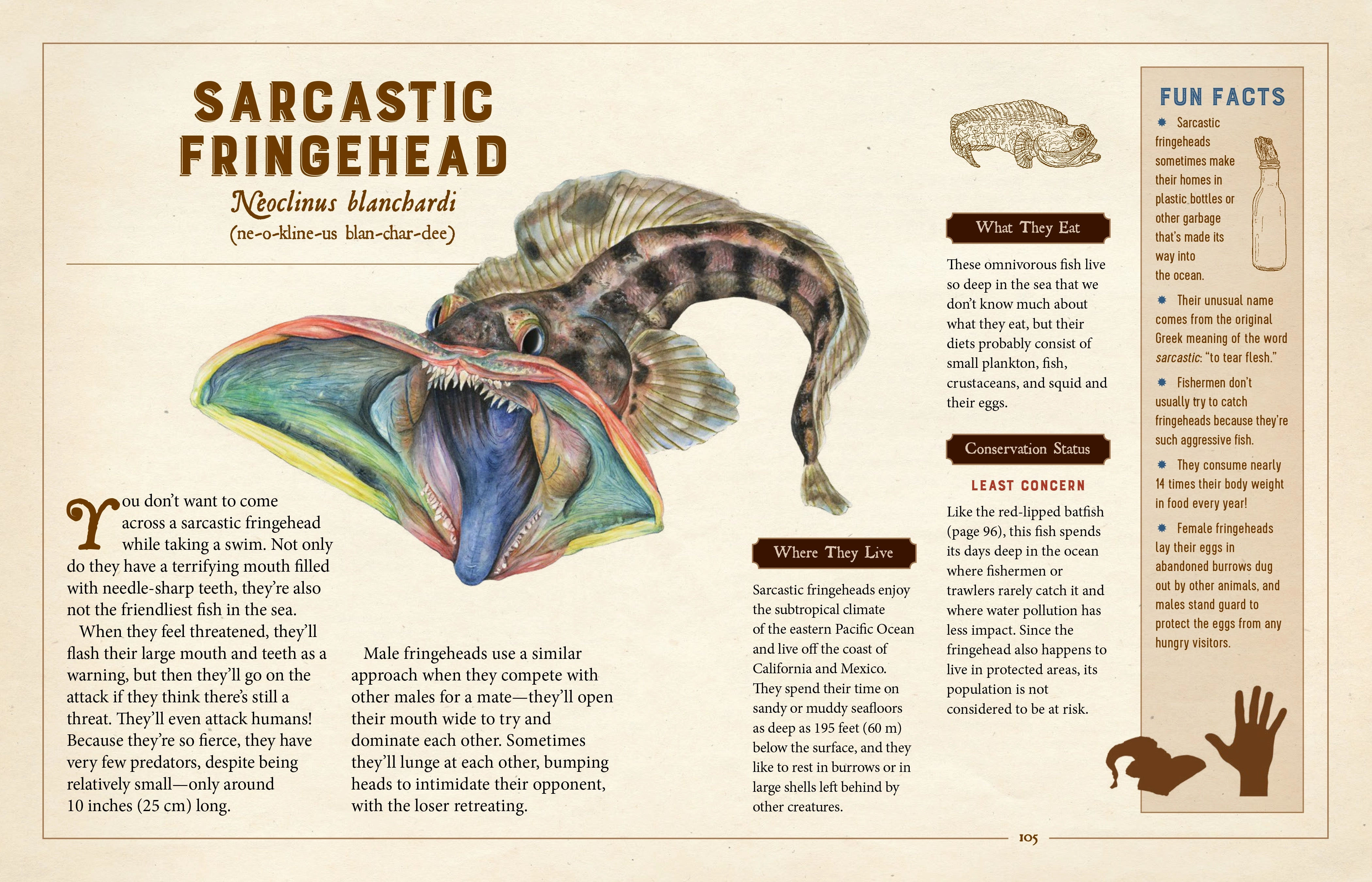Une Collection Curieuse de Créatures Particulières - Une Encyclopédie Illustrée