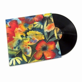 Adrianne Lenker: Songs And Instrumentals Vinyl 2LP hi-fi soundproof solution,hi-fi wall mount speakers,hi-fi ceiling speakers