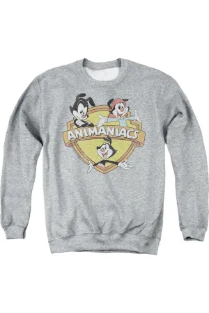 Sweat-shirt à capuche adulte Animaniacs Shielded