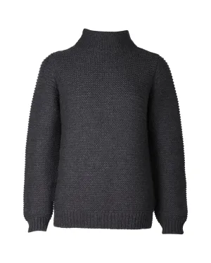 Pull col roulé en laine mérinos charbon à maille épaisse A.P.C.