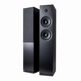 Argon FORUS 55 Floorstanding Speakers