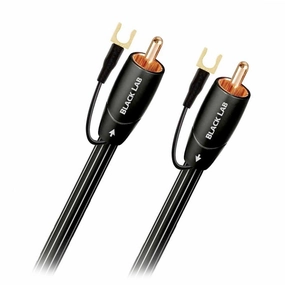 Audioquest: Black Lab Subwoofer Cable - 5.0M (Open Box Special) hi-fi DAC amp combo,hi-fi speaker impedance matcher,hi-fi RCA switch