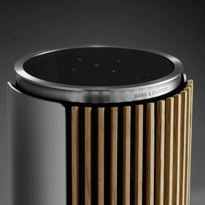 Bang & Olufsen Beolab 8 - Compact Wireless Speaker (Each)