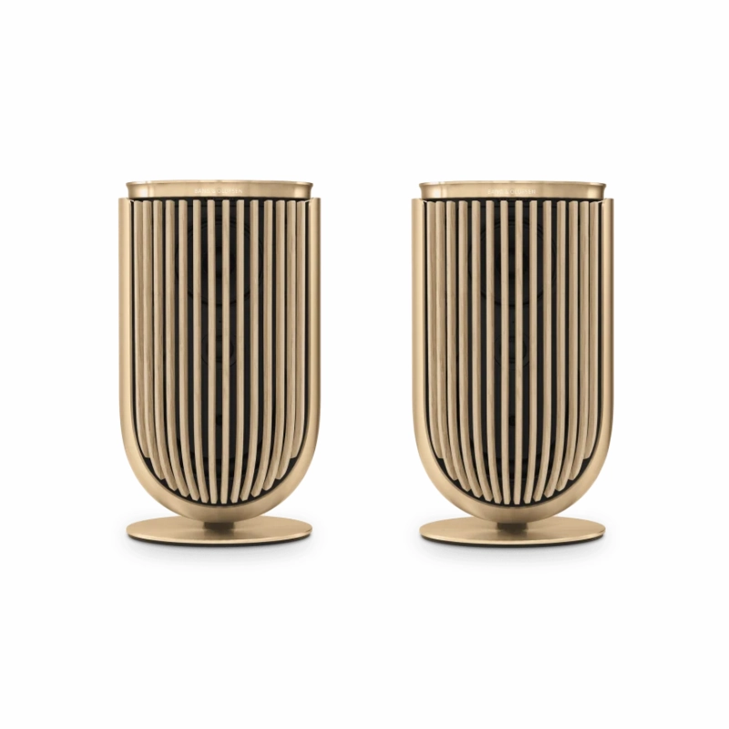 Bang & Olufsen Beolab 8 - Compact Wireless Speaker (Each)