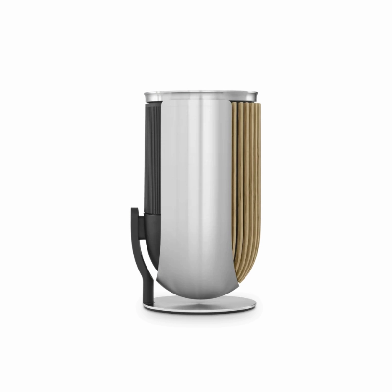 Bang & Olufsen Beolab 8 - Compact Wireless Speaker (Each)