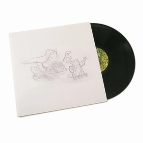 Big Thief: Dragon New Warm Mountain I Believe In You Vinyl 2LP hi-fi soundproof solution,hi-fi wall mount speakers,hi-fi ceiling speakers