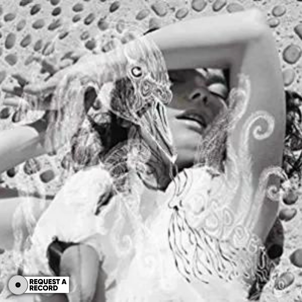 Bjork-Vespertine (Arrives in 21 days) hi-fi speaker damping kit,hi-fi panel absorber,hi-fi bass trap