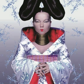 Bjrk  Homogenic (Arrives in 21 days) hi-fi headphone dock,hi-fi coaxial cable,hi-fi optical cable