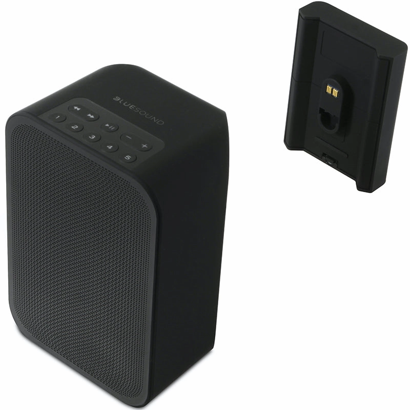 Bluesound Pulse FLEX 2i Mobile Sound System & Battery Pack (Each)