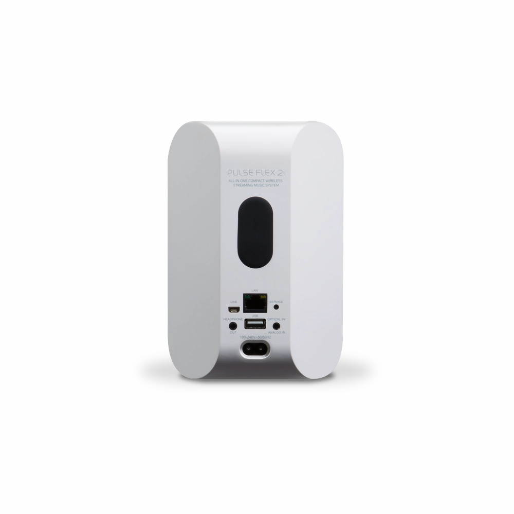 Bluesound PULSE FLEX 2i Portable Wireless Multi-Room Music Streaming Speaker