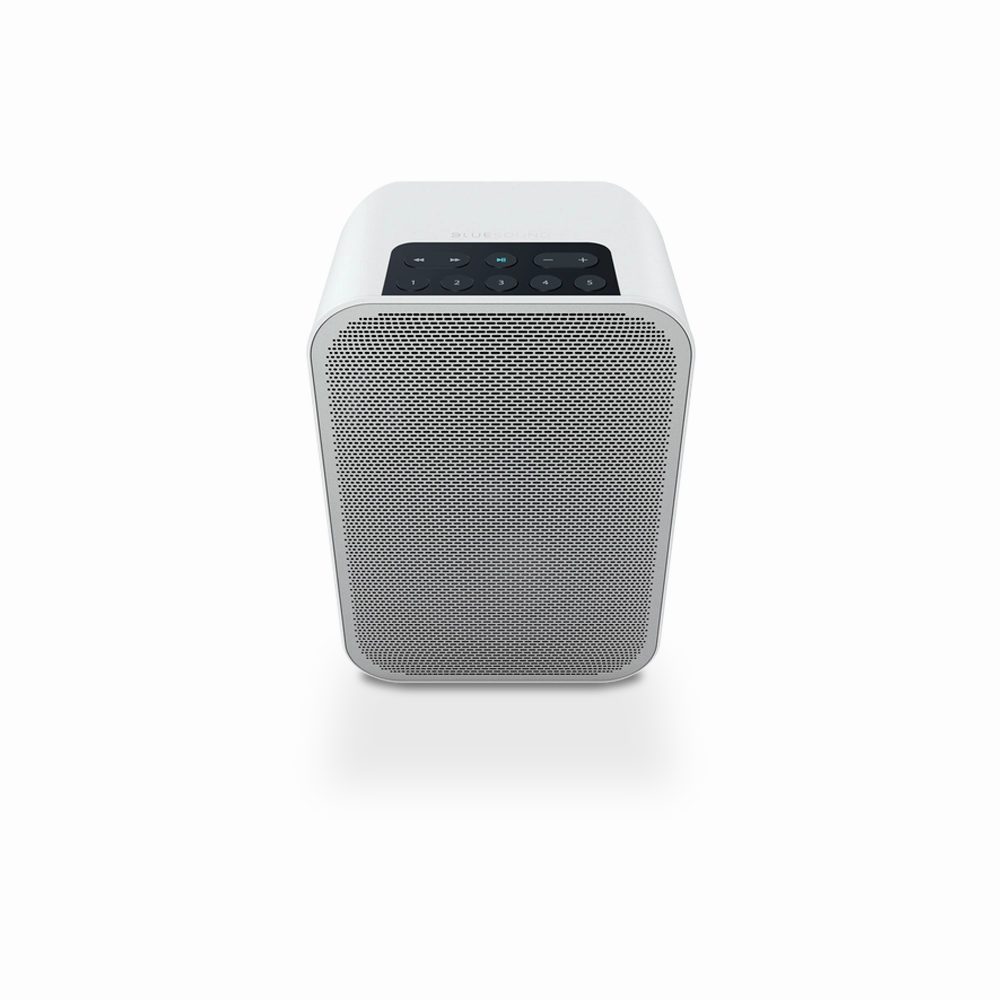 Bluesound PULSE FLEX 2i Portable Wireless Multi-Room Music Streaming Speaker