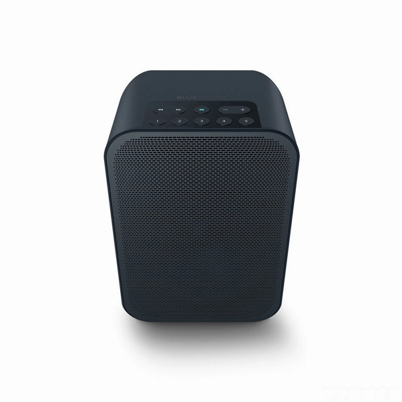 Bluesound Pulse Flex 2i Wireless Airplay 2 Speaker (Each) hi-fi reference sound,hi-fi custom setup,hi-fi system optimization