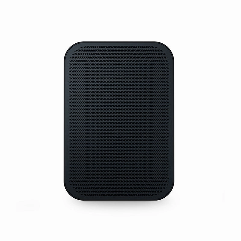 Bluesound Pulse Flex 2i Wireless Airplay 2 Speaker (Each)