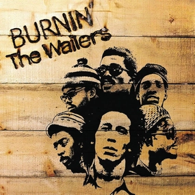 Burnin - The Wailers  (Arrives in 4 days) hi-fi subwoofer cable,hi-fi driver unit,hi-fi frequency response