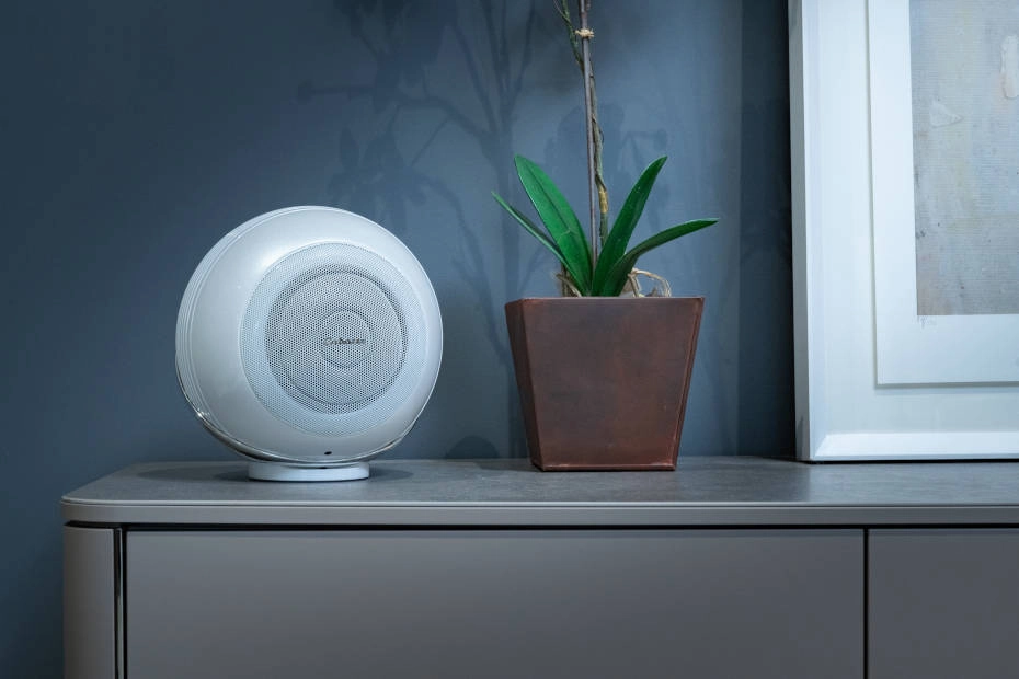 Cabasse Pearl Akoya - A Compact Co-Axial Wireless Speaker (Each)