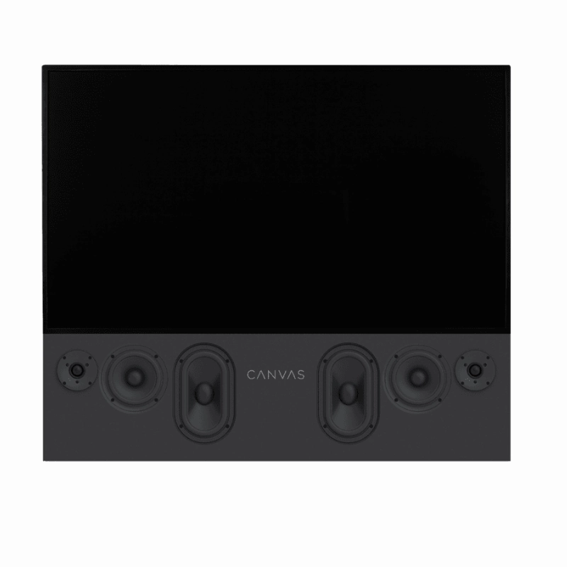 CANVAS High End HiFi TV Speaker Unit Only (Each)