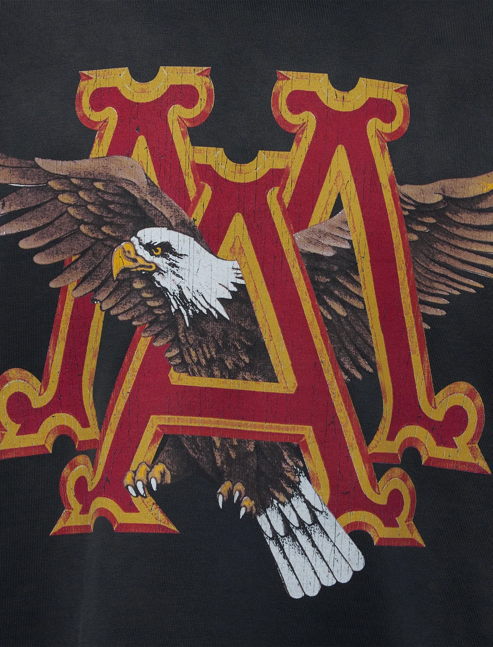 Ma Eagle Oversized Tee Graphic Print Water