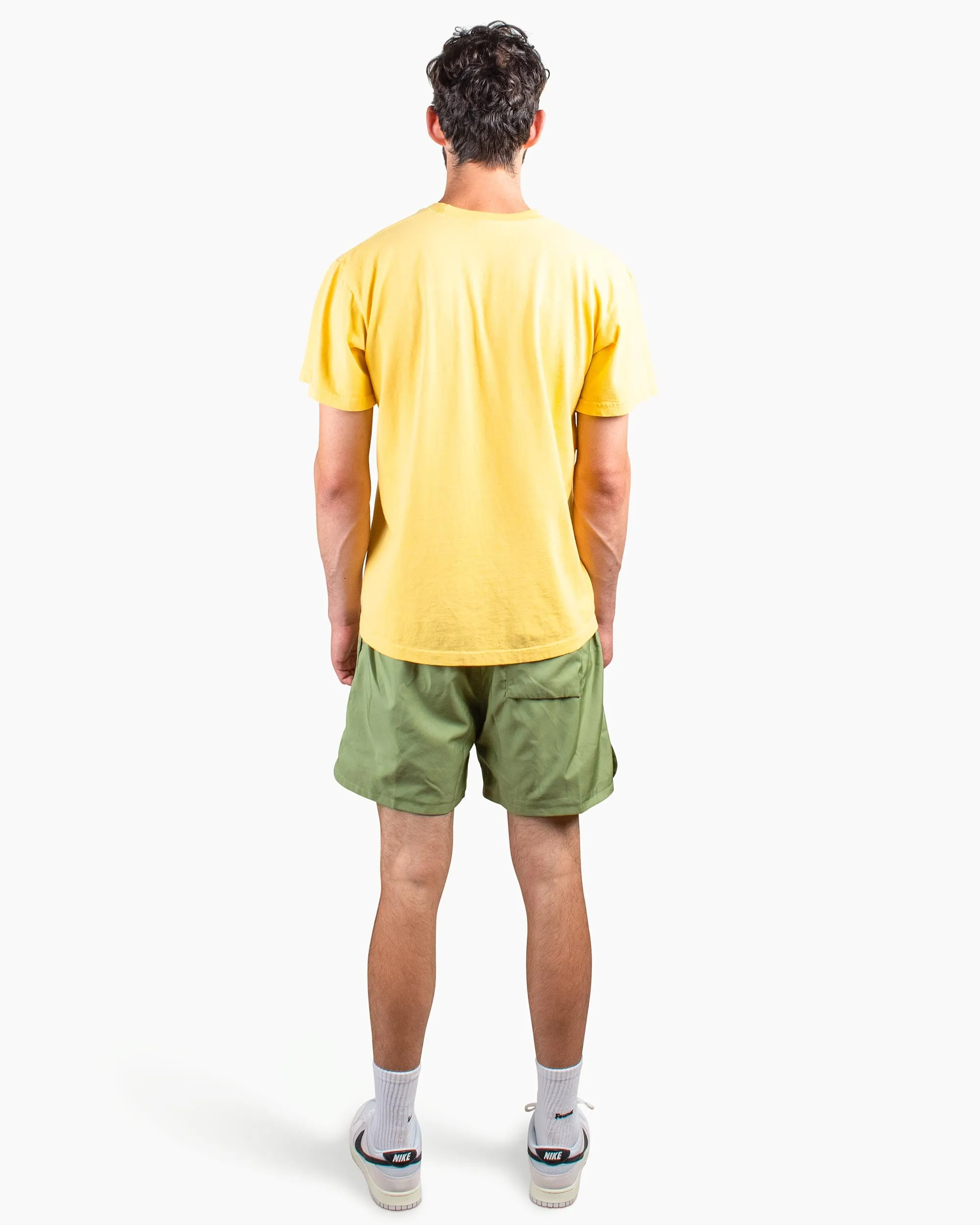 Nike Sportswear Sport Essentials Lined Flow Shorts Alligator Hybrid