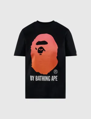 Sustainable Feature Women'S Gradation Ape Tee