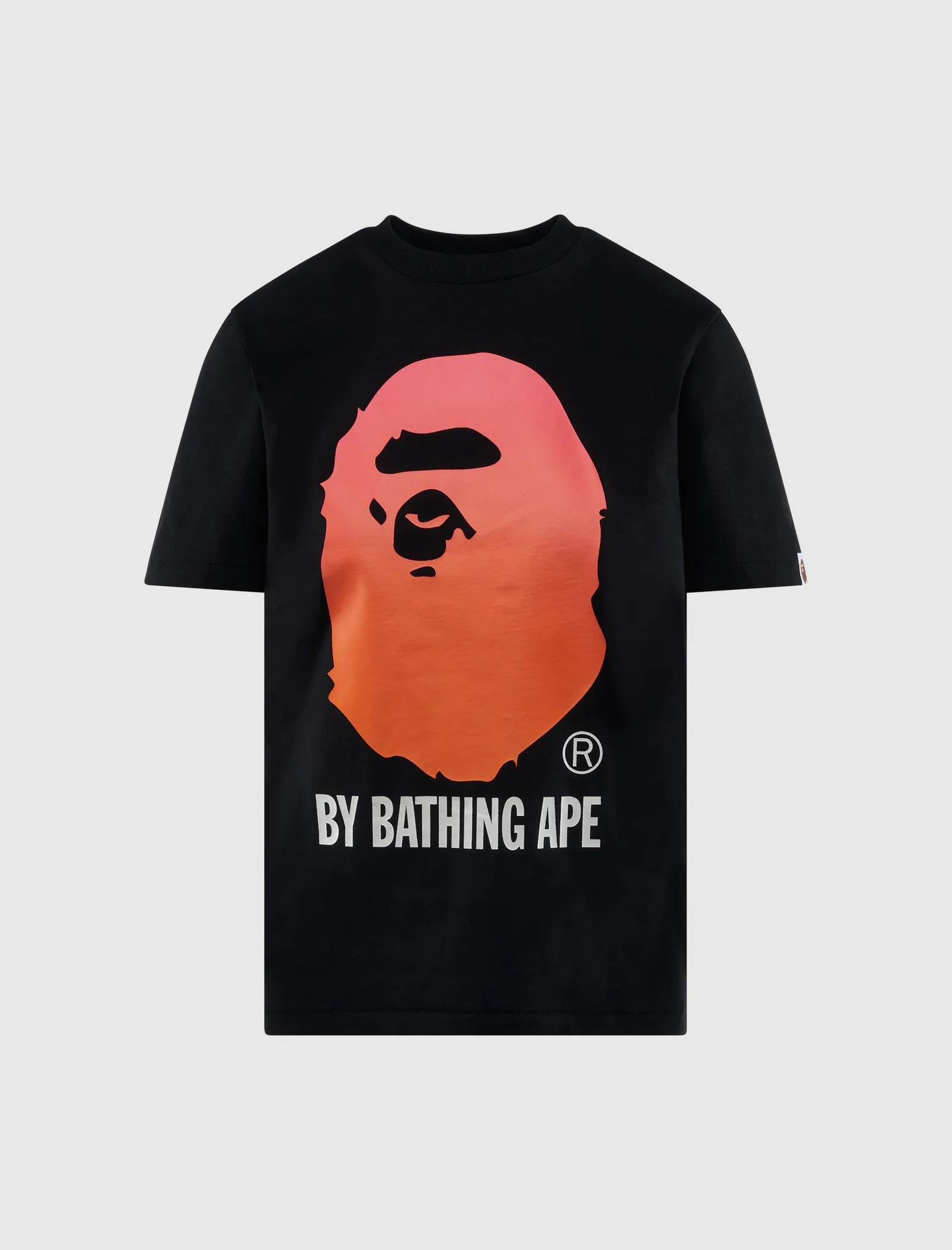 Sustainable Feature Women'S Gradation Ape Tee