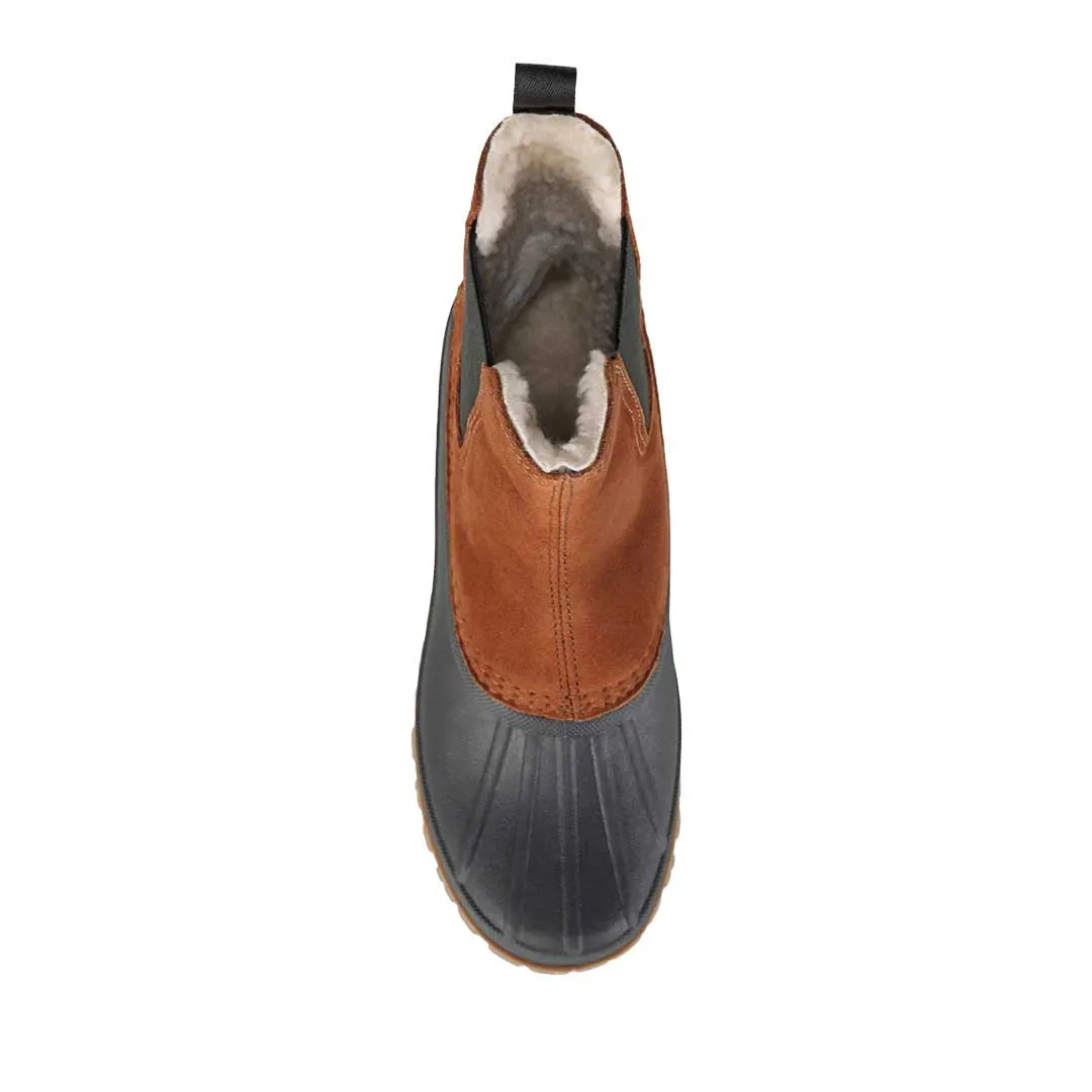 Cougar - Bottes en daim Cola pour femme (COLA-BLKTOB)