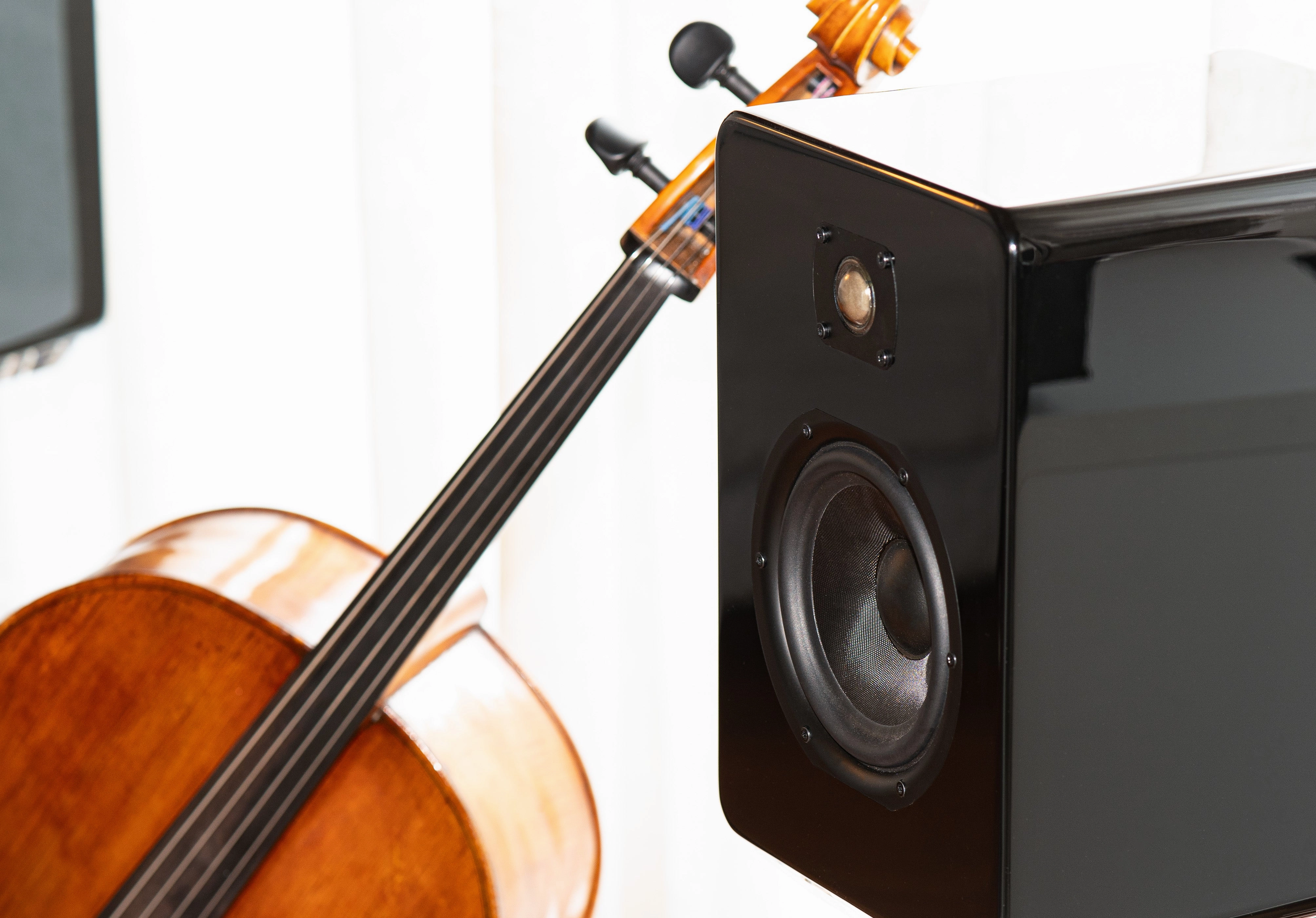 Daniel Hertz Eva Speakers