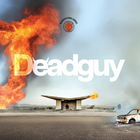 Deadguy: Near Death Travel Services (Colored Vinyl) Vinyl LP hi-fi vacuum tube amplifier,hi-fi stereo base,hi-fi speaker wire kit