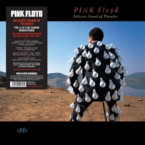 Delicate Sound Of Thunder By Pink Floyd  (Arrives in 4 Days) hi-fi equalizer with spectrum,hi-fi music system with turntable,hi-fi dual speaker setup