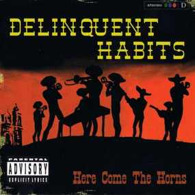 Delinquent Habits C Here Come The Horns (Music On Vinyl) (Arrives in 21 Days) hi-fi music amplifier,hi-fi bluetooth receiver with aptX,hi-fi cd transport