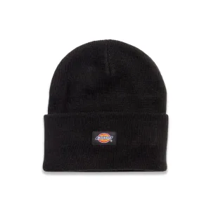 Dickies - Bonnet en tricot à ourlet (WH201 BK)