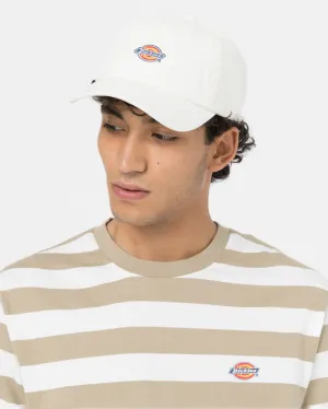 Casquette Dickies Hardwick en Nuage