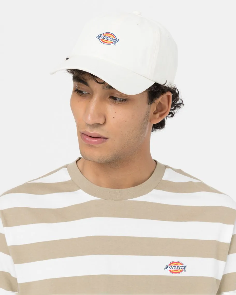 Casquette Dickies Hardwick en Nuage