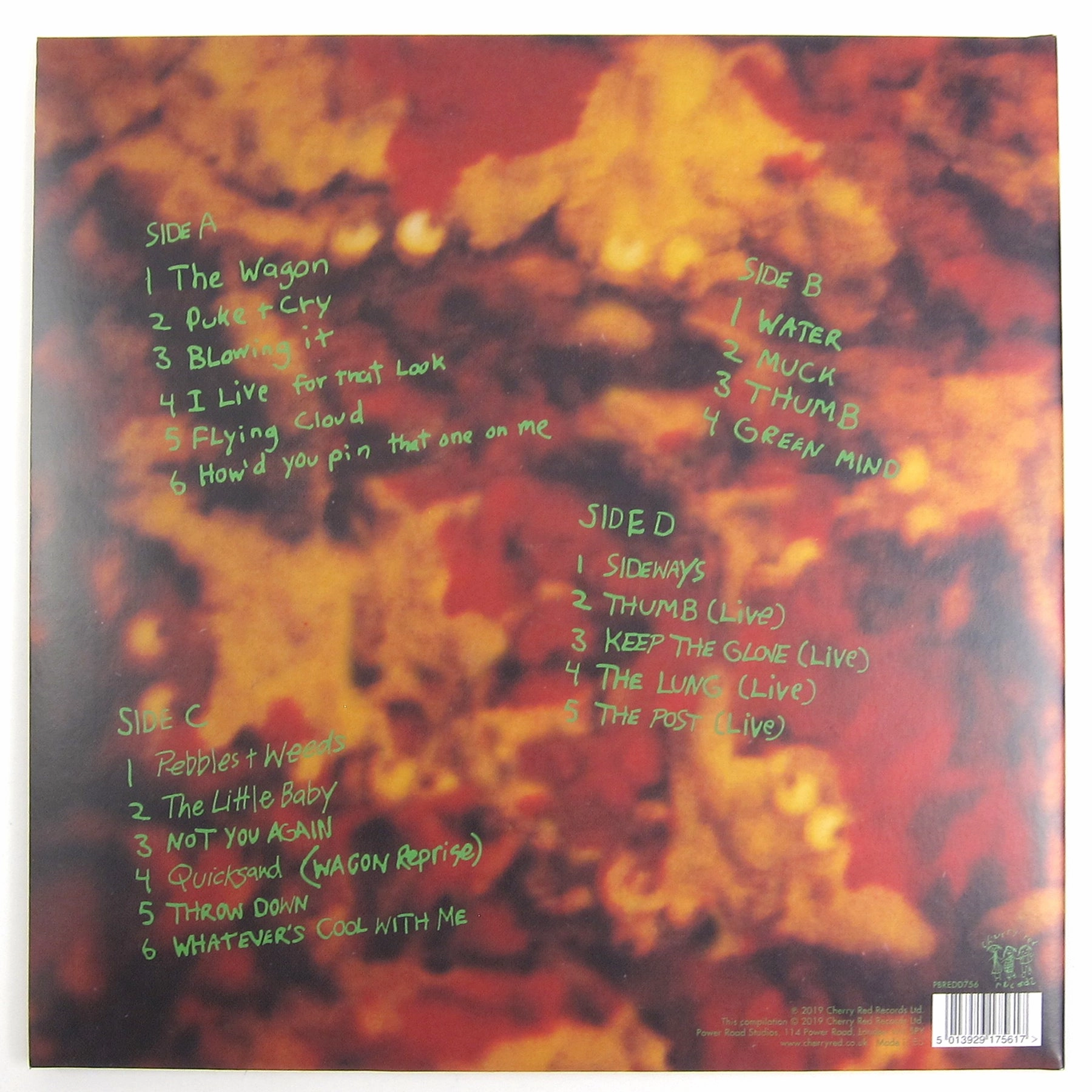 Dinosaur Jr.: Green Mind - Deluxe Expanded Edition (Colored Vinyl) Vinyl 2LP