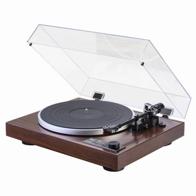 Dual Electronics: CS 529 Fully Automatic Bluetooth Turntable hi-fi DAC amp combo,hi-fi speaker impedance matcher,hi-fi RCA switch