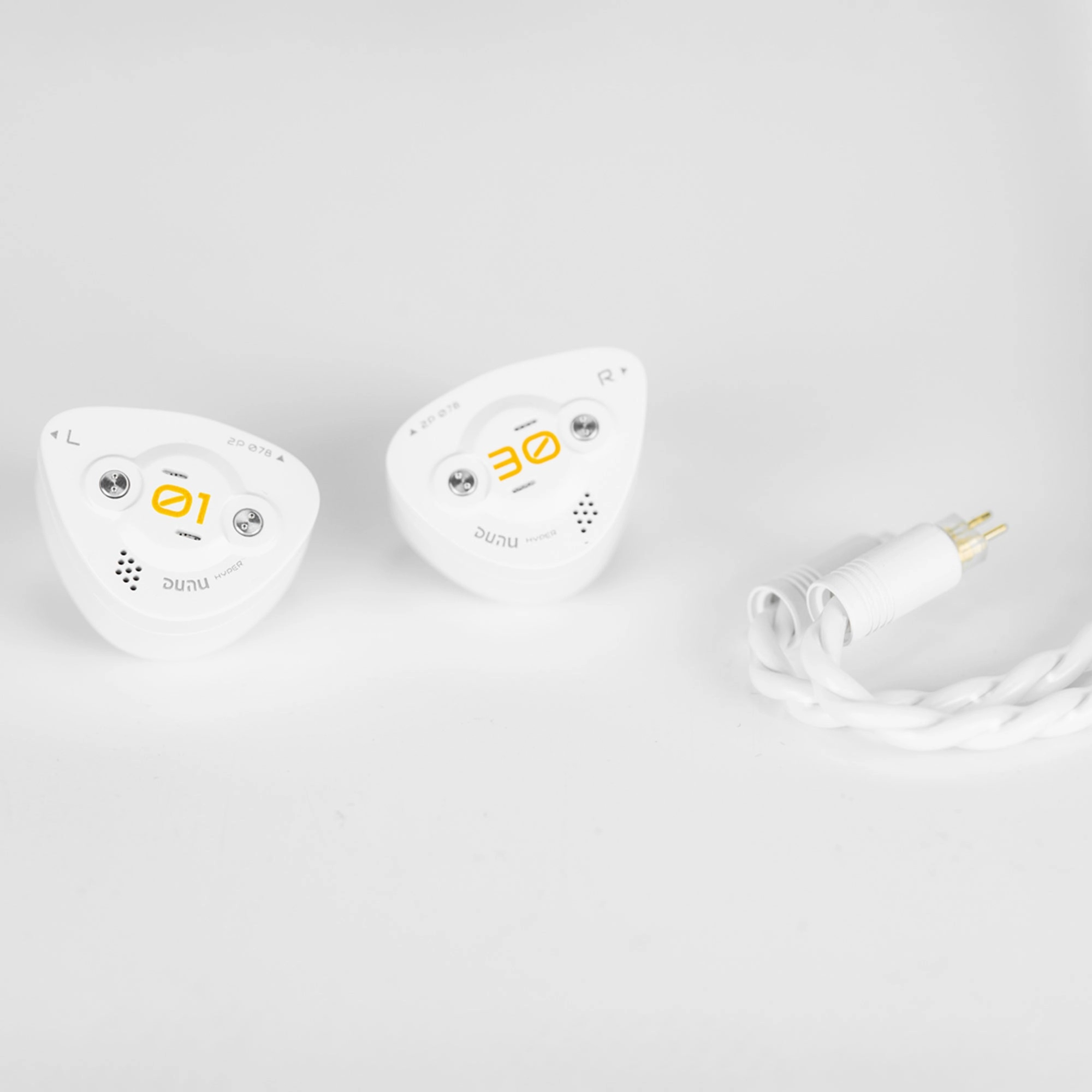 DUNU DK3001BD In-Ear Monitors