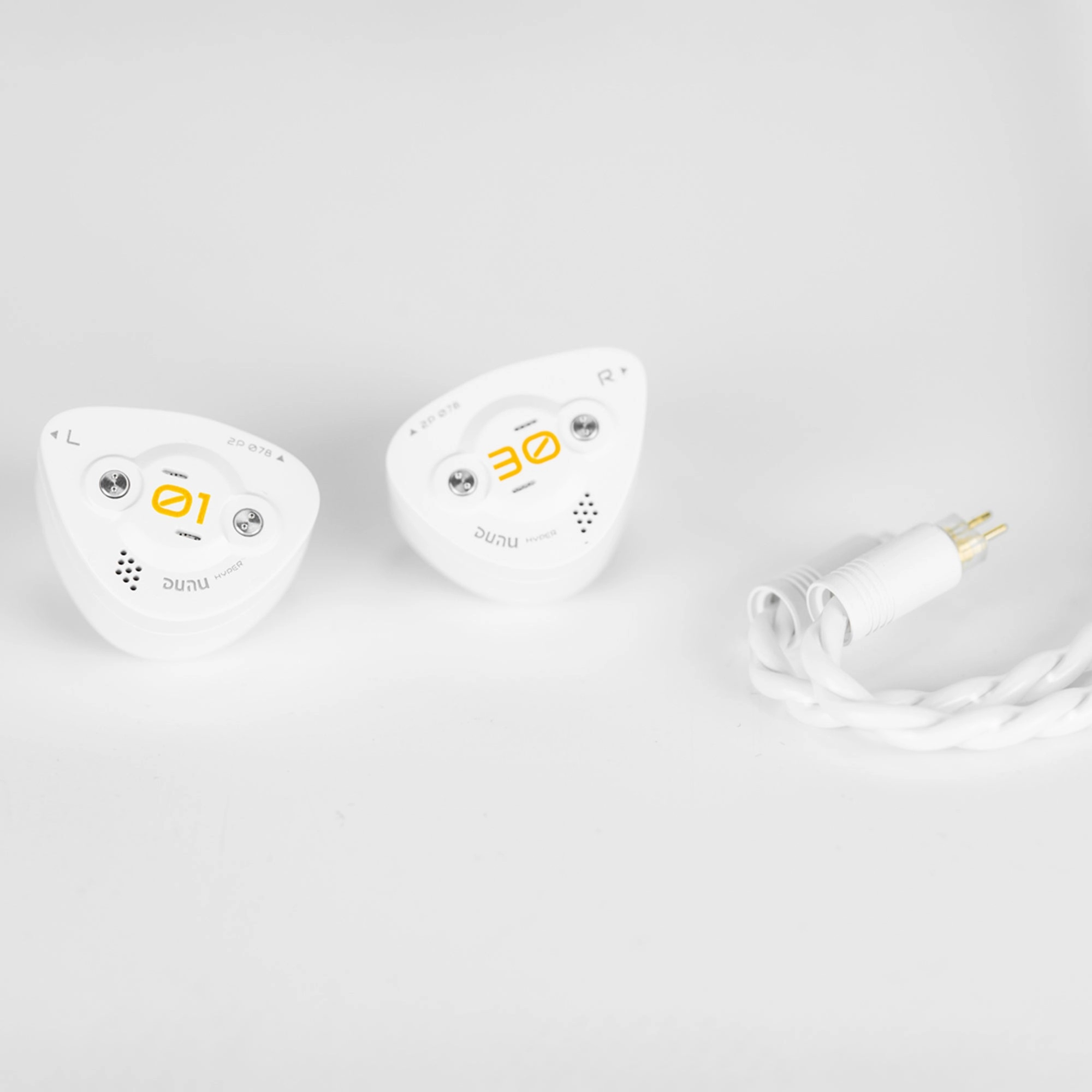 DUNU DK3001BD In-Ear Monitors