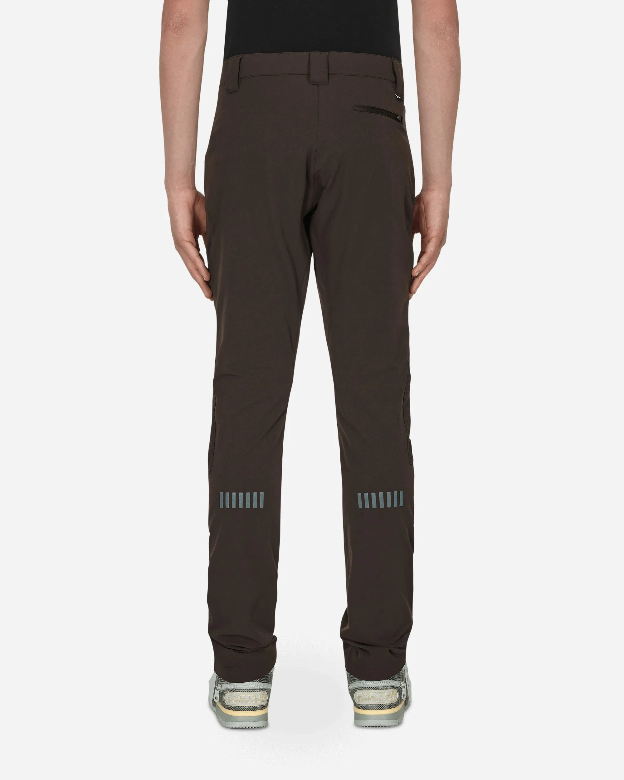 Cact.Us Corp Pants Brown Thermal Efficiency Review