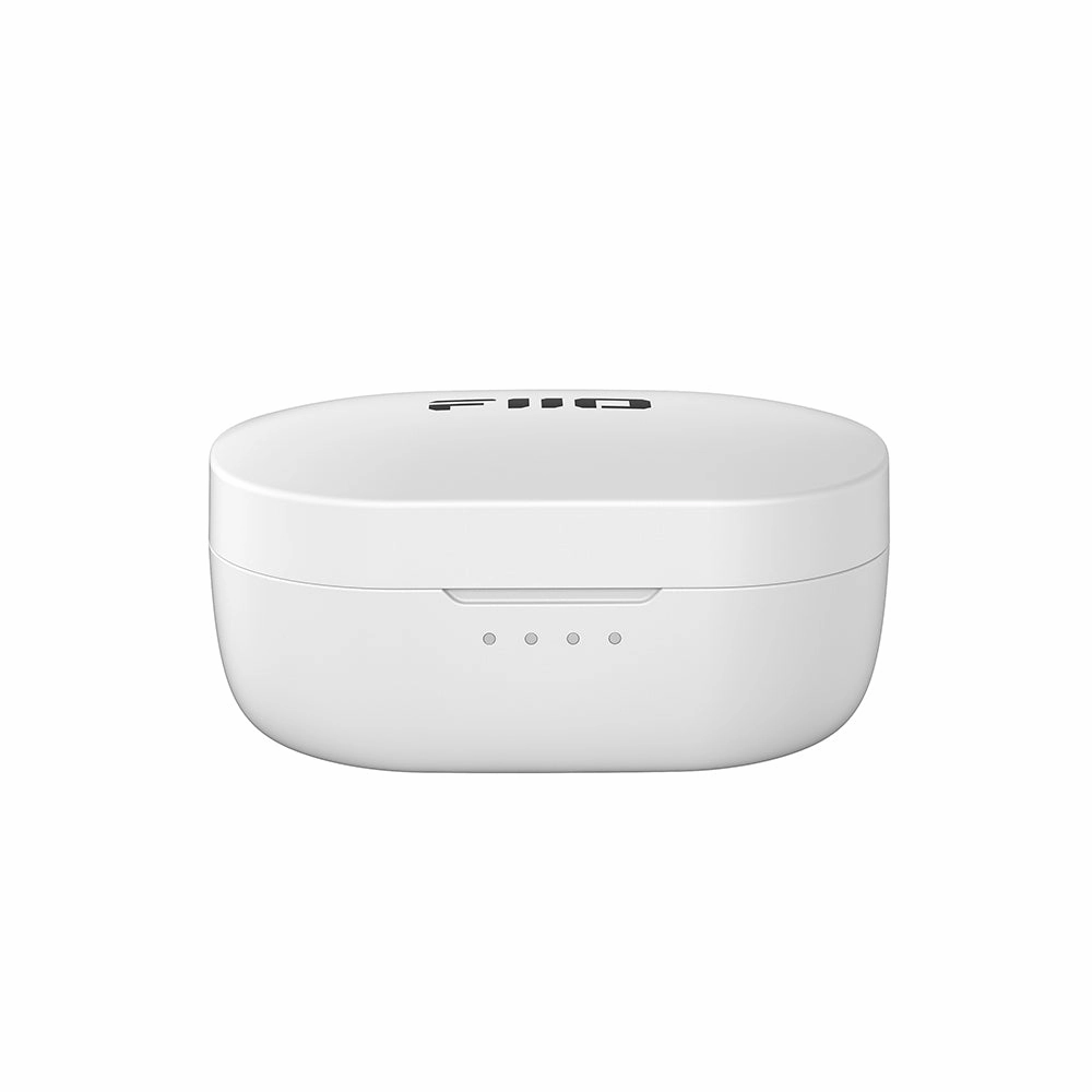 FiiO FW3 True Wireless Bluetooth Earbuds