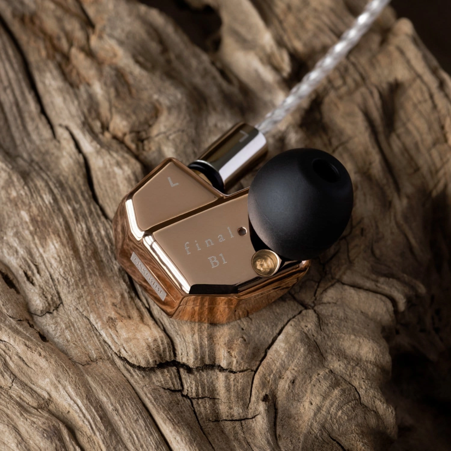Final Audio B1 Hybrid In Ear Monitors