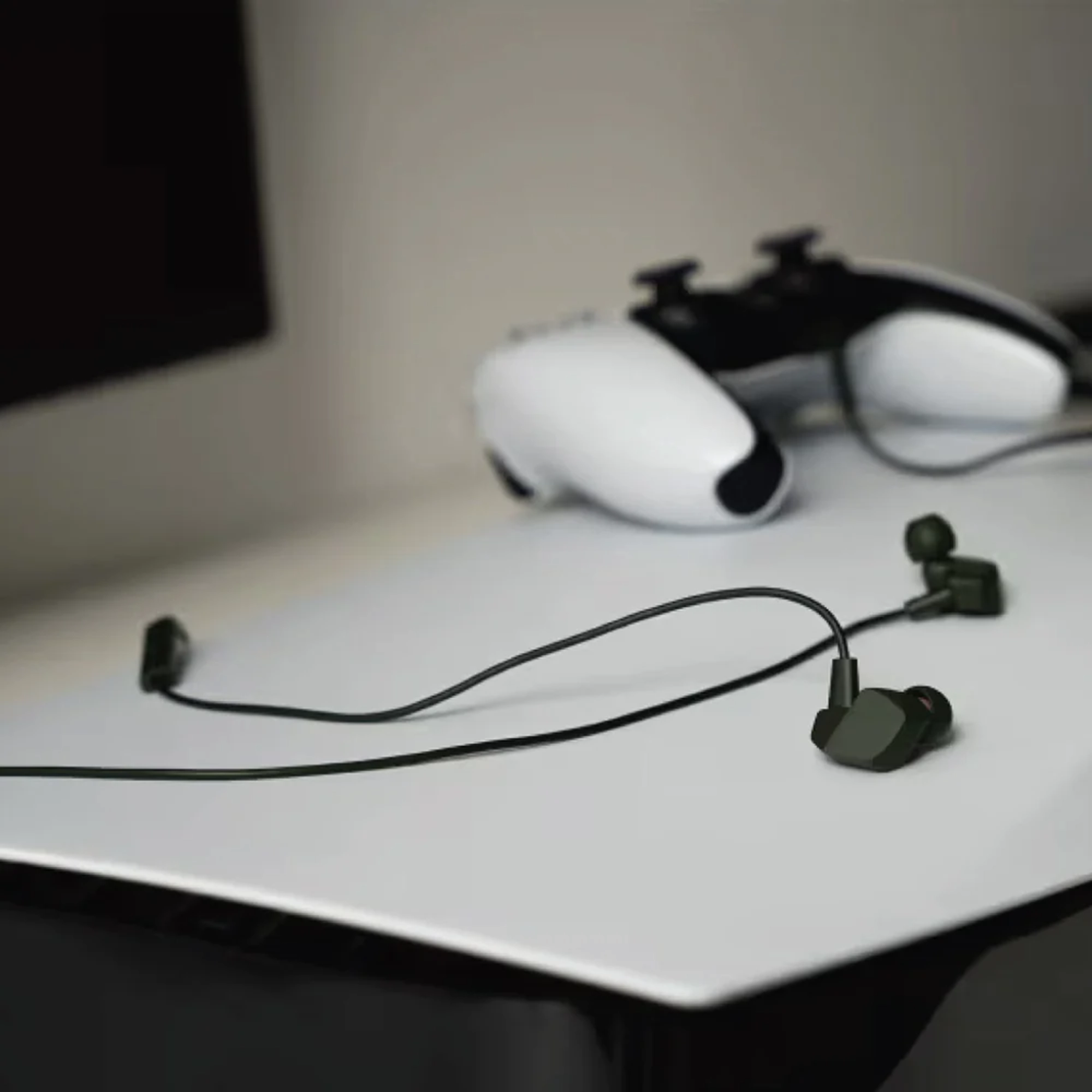 Final Audio VR2000 In-Ear Earphones