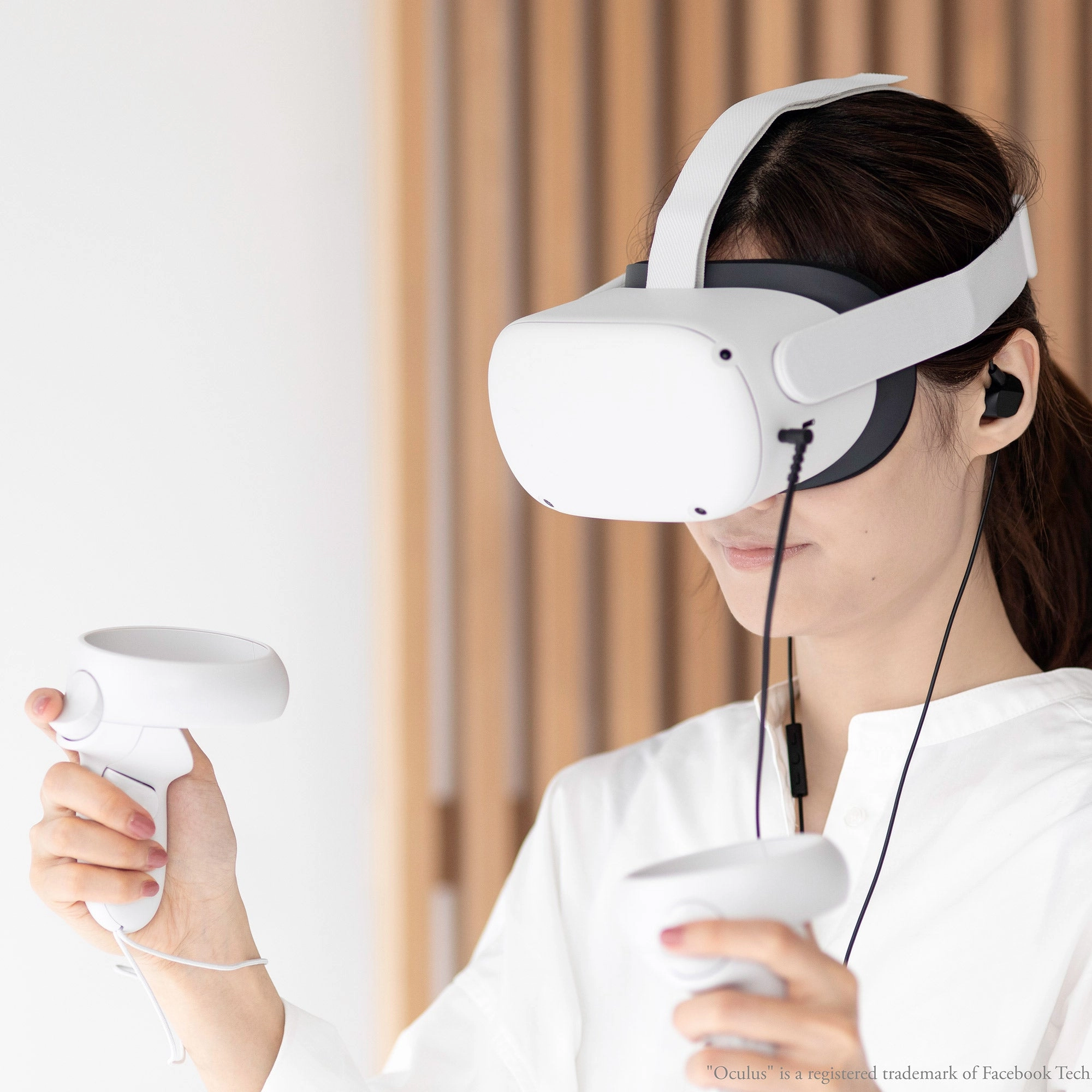 Final Audio VR3000 In-Ear Earphones