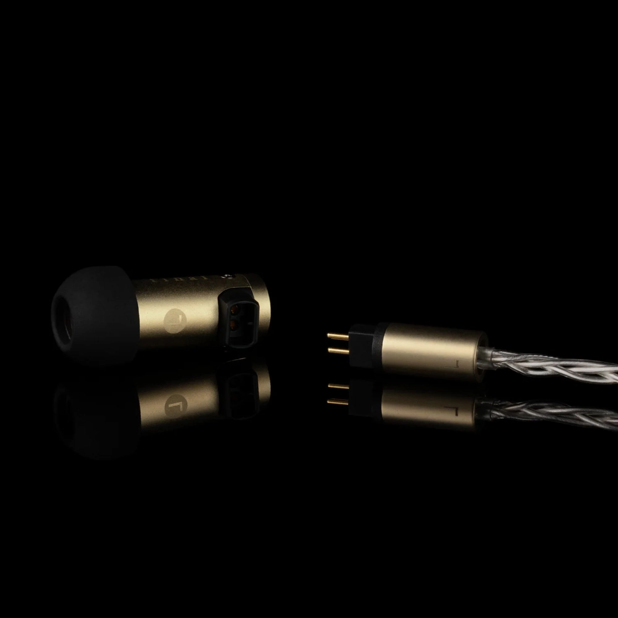Final S5000 In-Ear Earphones