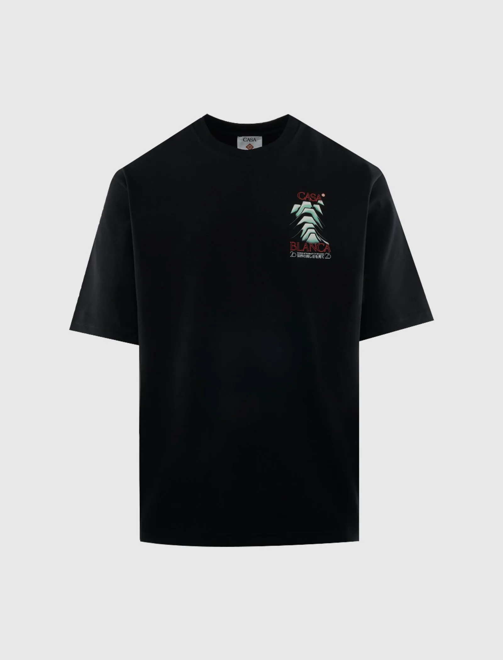 Oversized Appearance Comfortable Stylish Frosty Mountain Tee