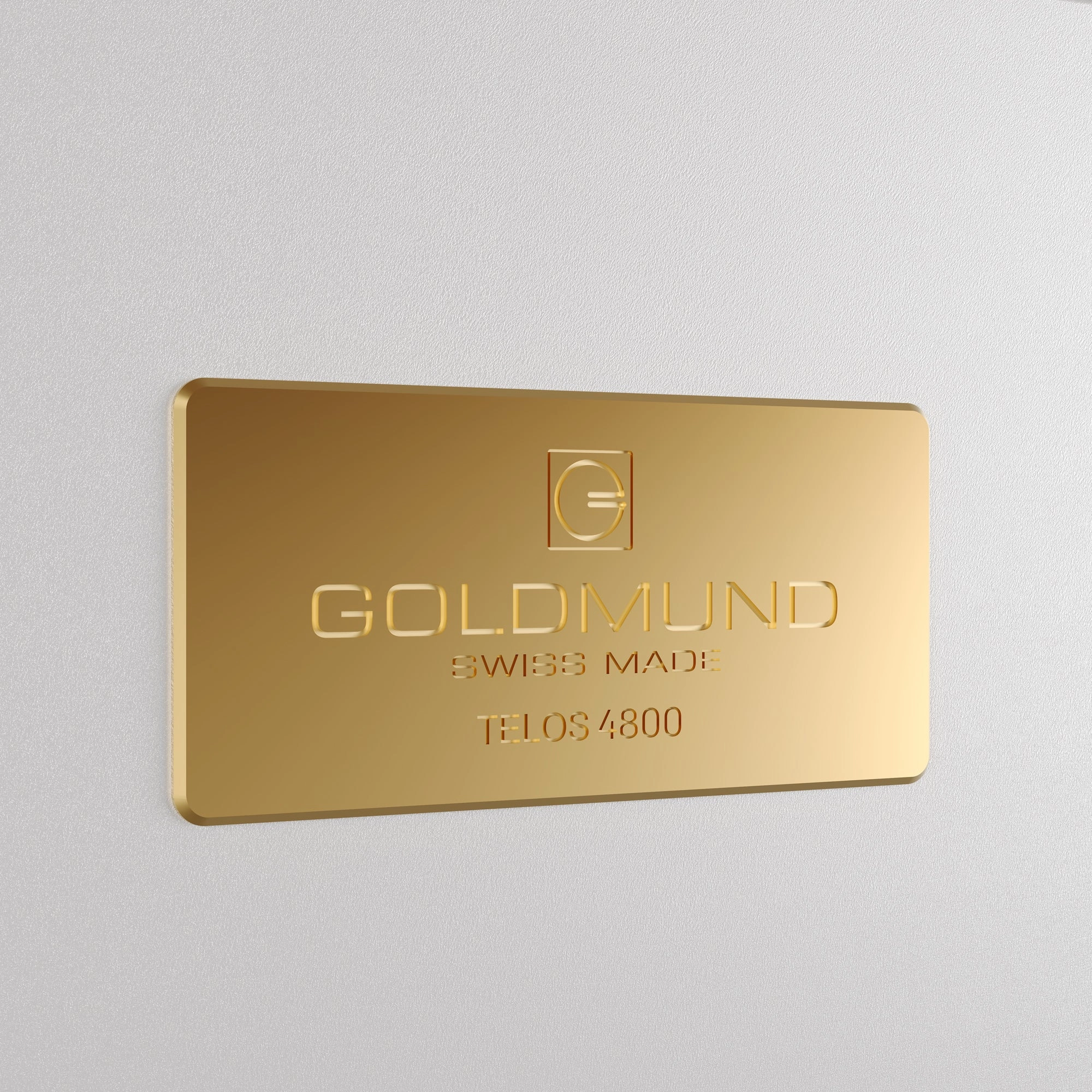 Goldmund TELOS 4800 Mono Power Amplifier