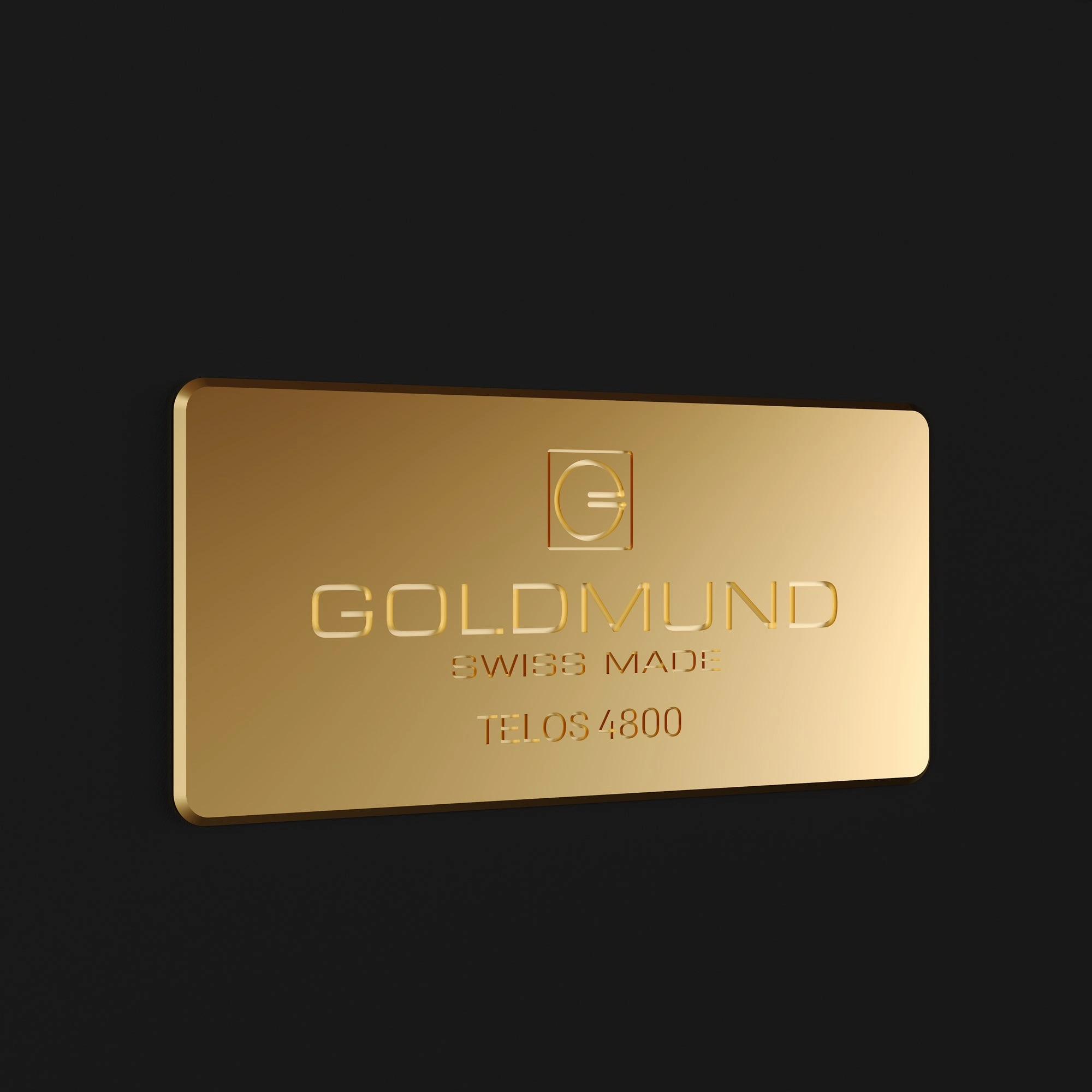 Goldmund TELOS 4800 Mono Power Amplifier