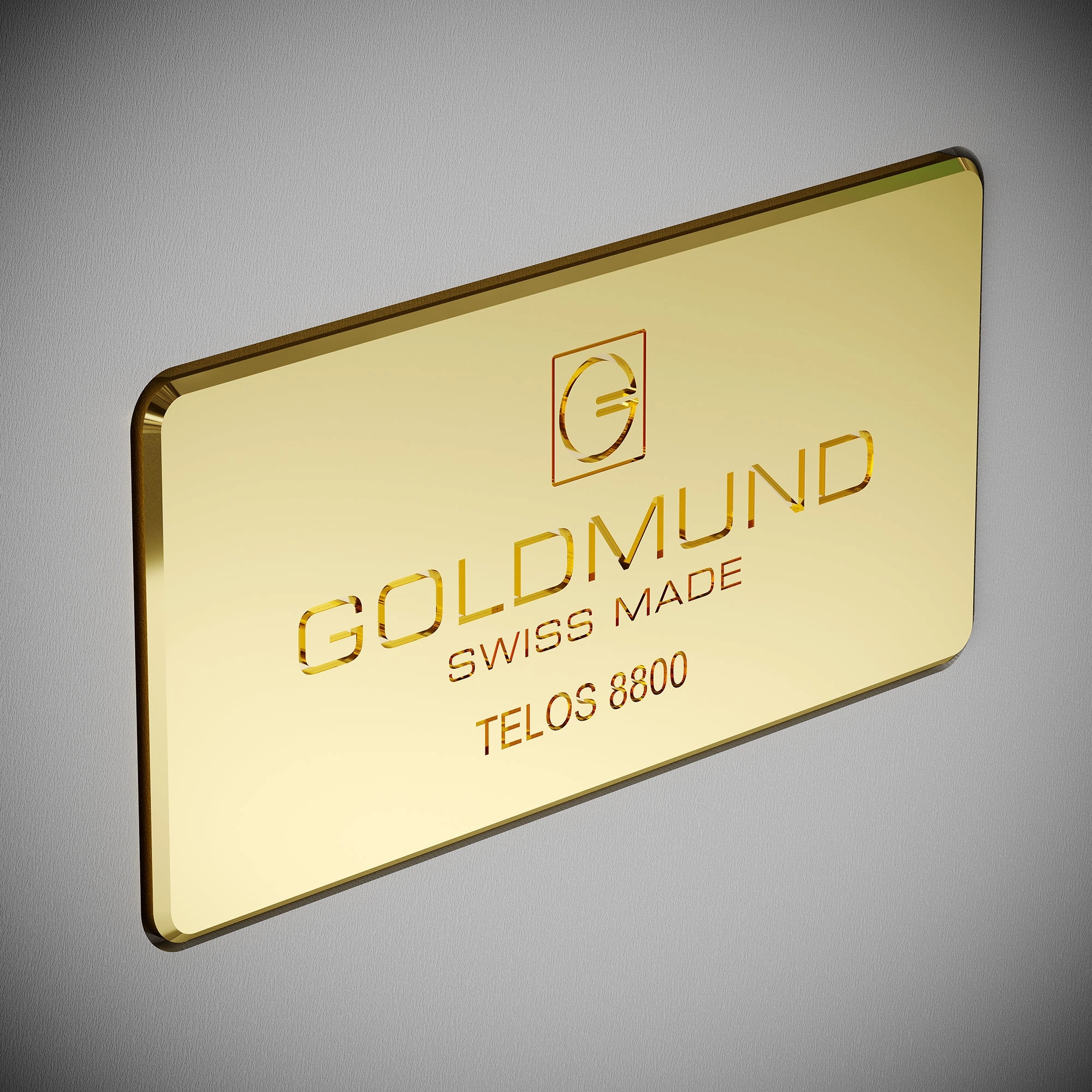 Goldmund TELOS 8800 Mono Power Amplifier