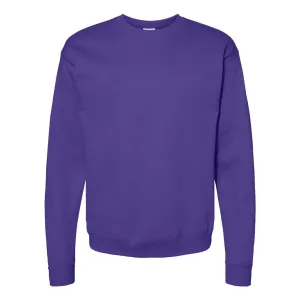 Hanes Ecosmart Sweat à capuche col ras du cou