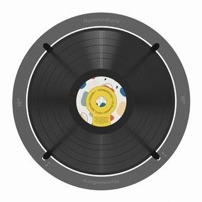 HumminGuru: 10 Inch Record Adapter for Ultrasonic Cleaner hi-fi DAC amp combo,hi-fi speaker impedance matcher,hi-fi RCA switch