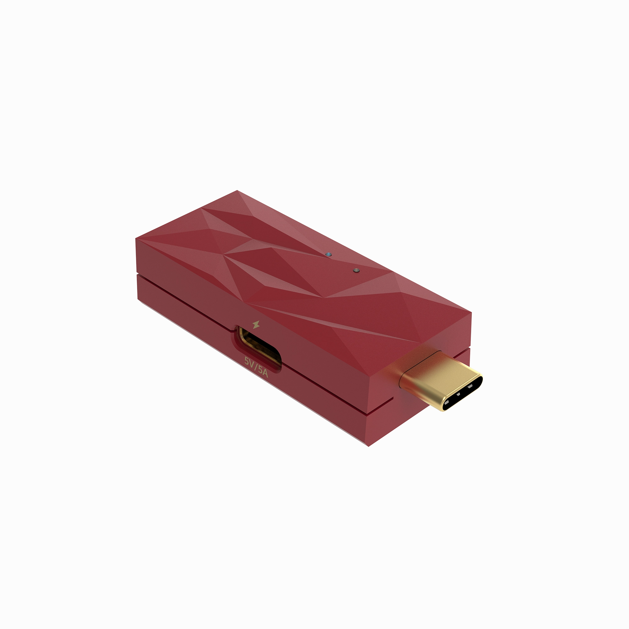 iFi iDefender Max USB-C