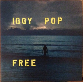 Iggy Pop  Free (Arrives in 4 days) hi-fi magnetic shield,hi-fi DIY amplifier kit,hi-fi signal booster